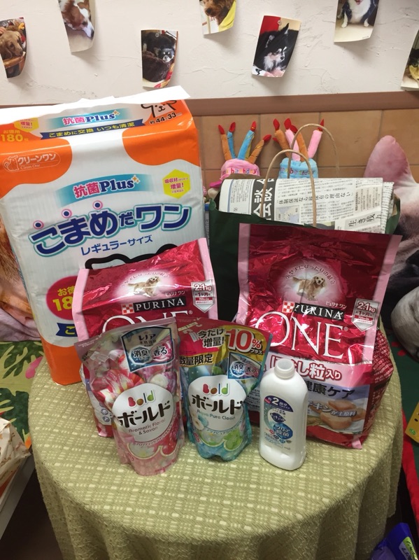 いつも支援物資をいただきまして本当にありがとうございます🙇＆今日のニャンコキャスト🐱